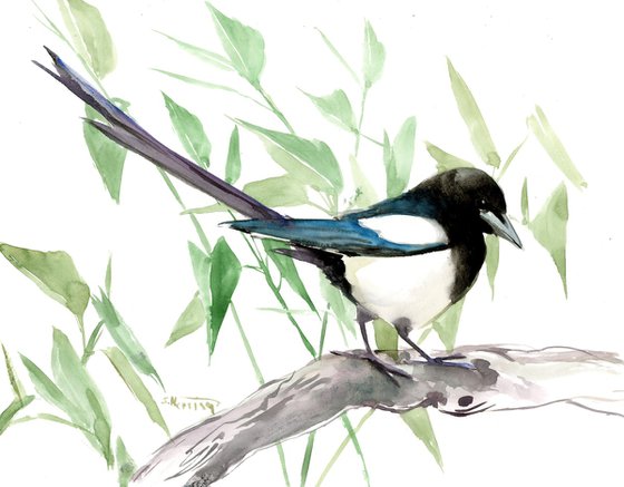 Magpie