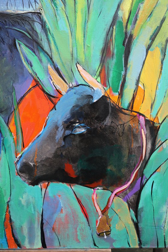 Cows Looking for Pineapples