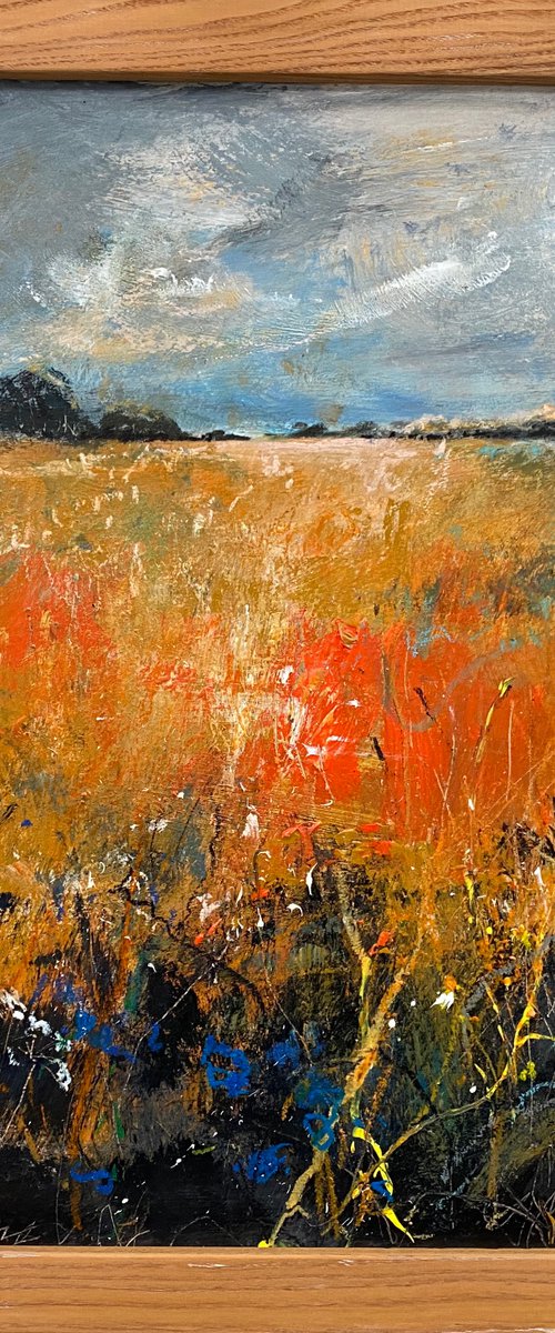 Orange Field with blue cornflowers (framed) by Teresa Tanner