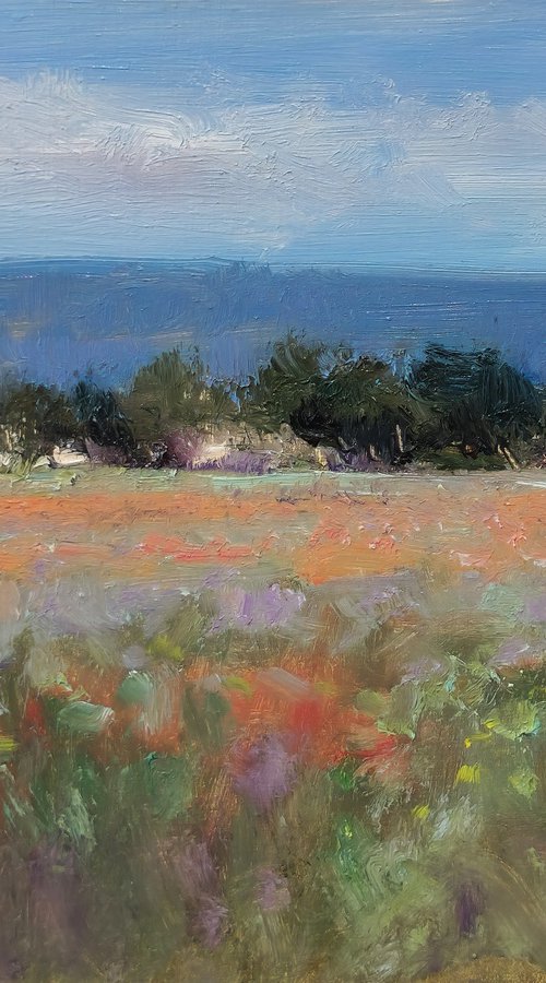 Poppy Field by Pascal Giroud