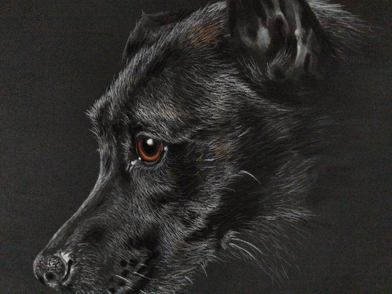 "Patiently Waiting II"     Staffordshire Bull Terrier portrait (Original Painting)