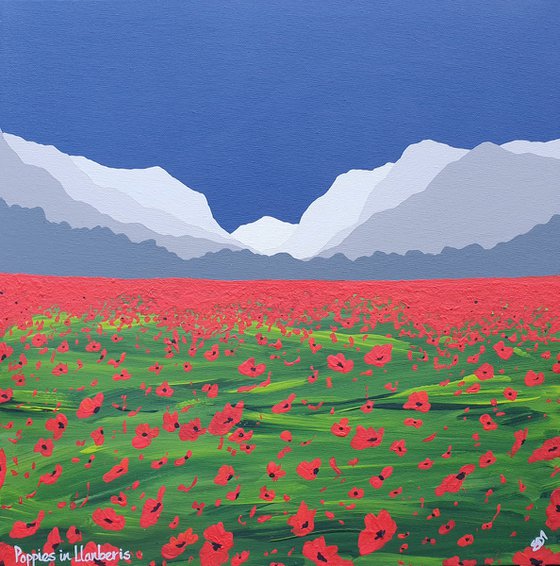 Poppies in Llanberis, The Lake District