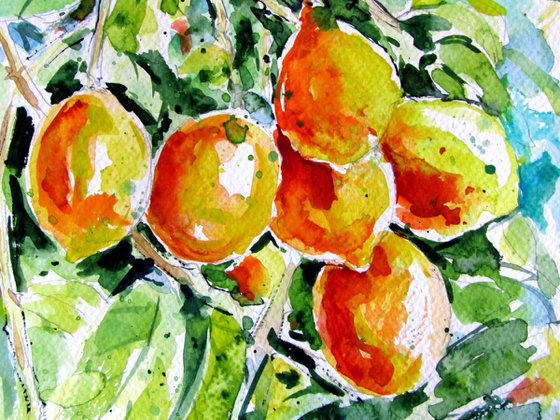 Lemons