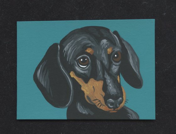 ACEO ATC Original Miniature Painting Black Tan Dachshund Pet Dog Art-Carla Smale