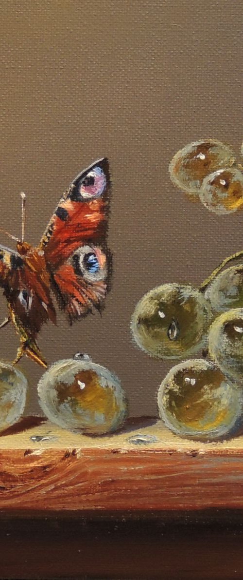 Soft Landing by Diana Janson