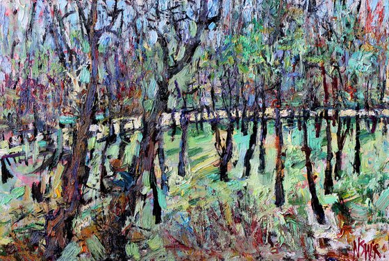 Trees by the Shore