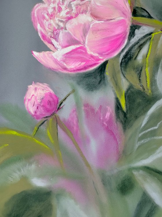Pink Peony 2