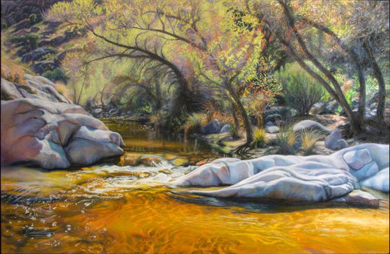 Romero Canyon In Spring