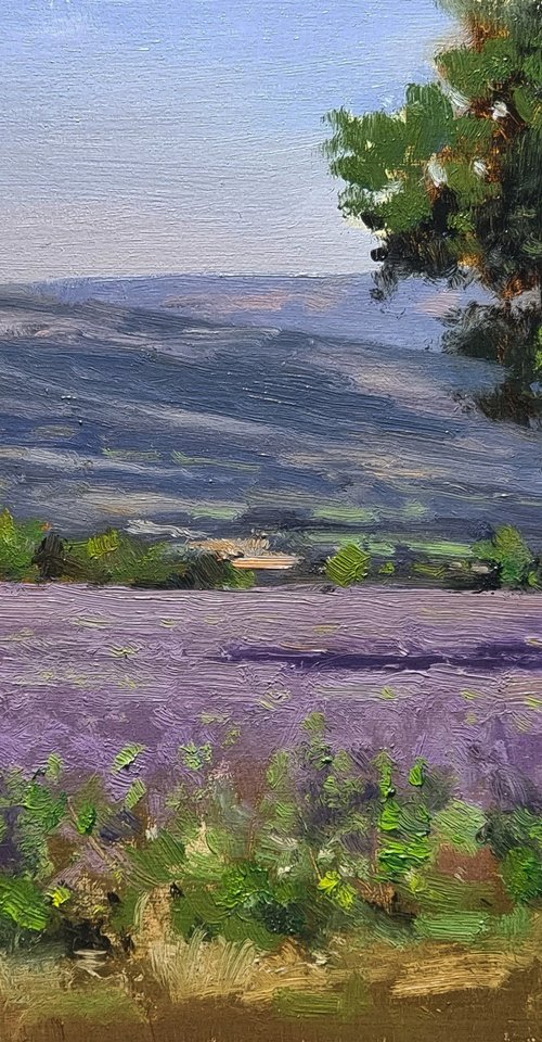 Champs des Maures by Pascal Giroud