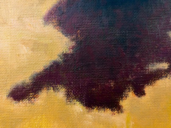 Wooden Bench in the Summer