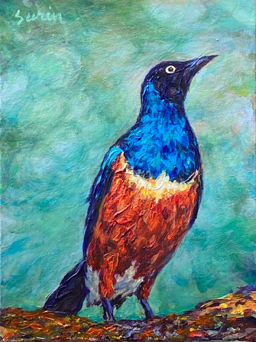 Super Starling bird painting, exotic bird portrait, bird painting, wild bird painting by Surin Jung