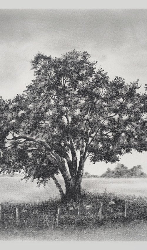 English Oak by Shweta Mahajan