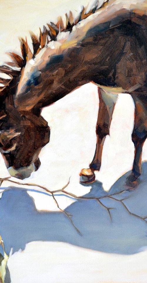 Donkey and its shadow. by Irina Ushakova