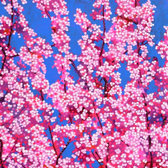 Cherry Blossom #11