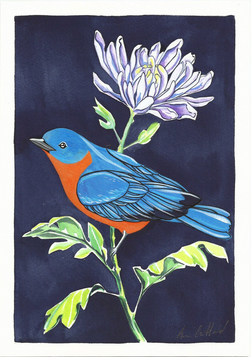Bluebird and Chrysanthemum by Fran Giffard
