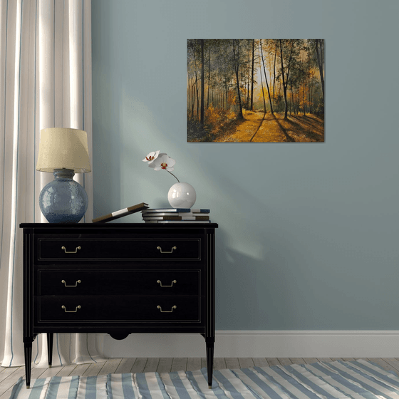 Sunlit Forest Serenity