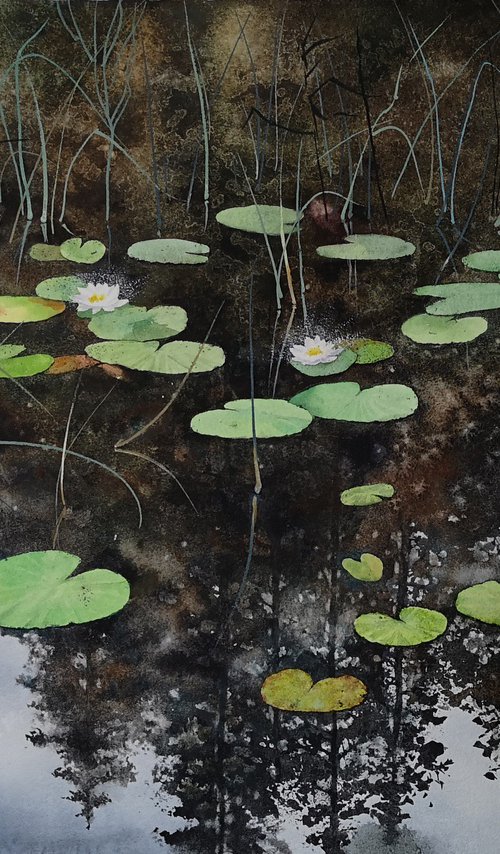 Water Lily Pond by Olga Beliaeva Watercolour