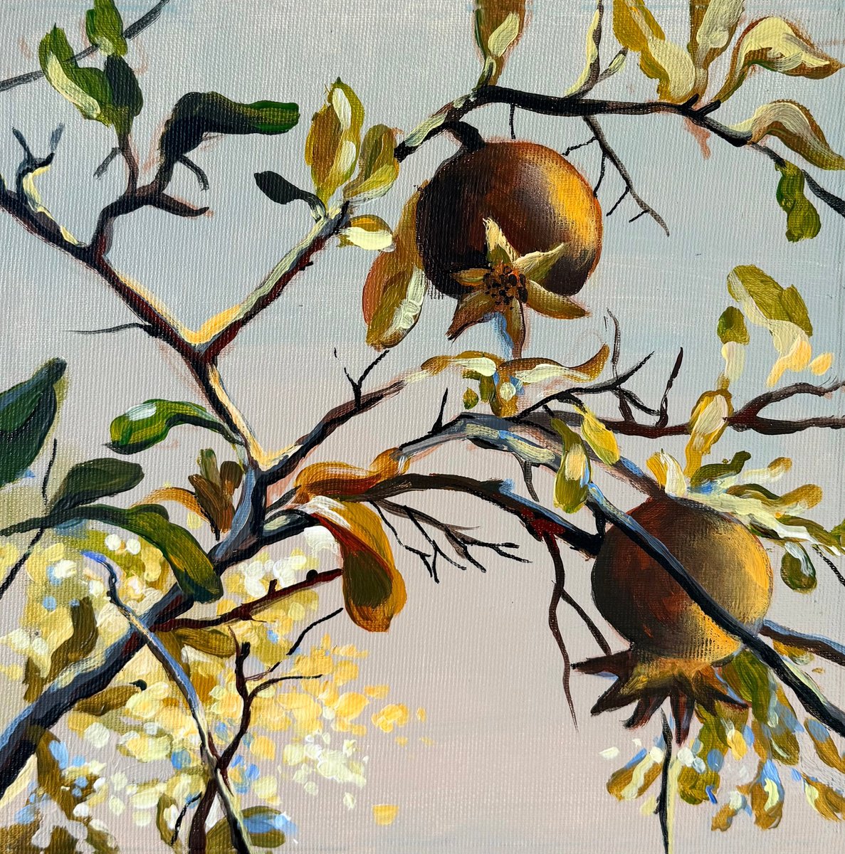 Pomegranate Season By Maria Kireev, 8 X 8, Artwork For Sale On Artfinder