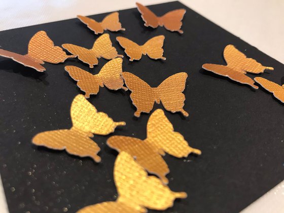 Butterflies - golden flutter