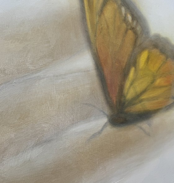 “Butterflies” , 120х100 cm (2024)