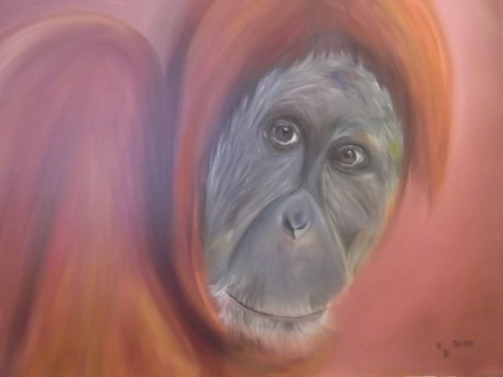The Soul of an Orangutan