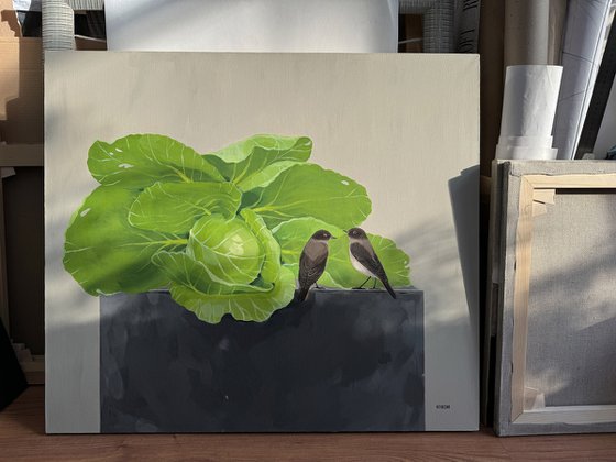 Cabbage