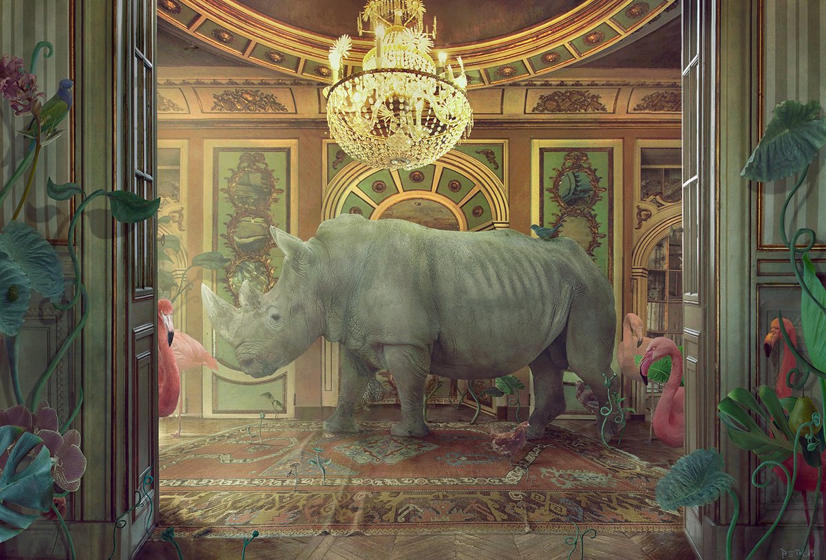 Surrealistic Animal Photograph By Nikolina Petolas, 35 X 24", Green Tendencies, Original Artwork