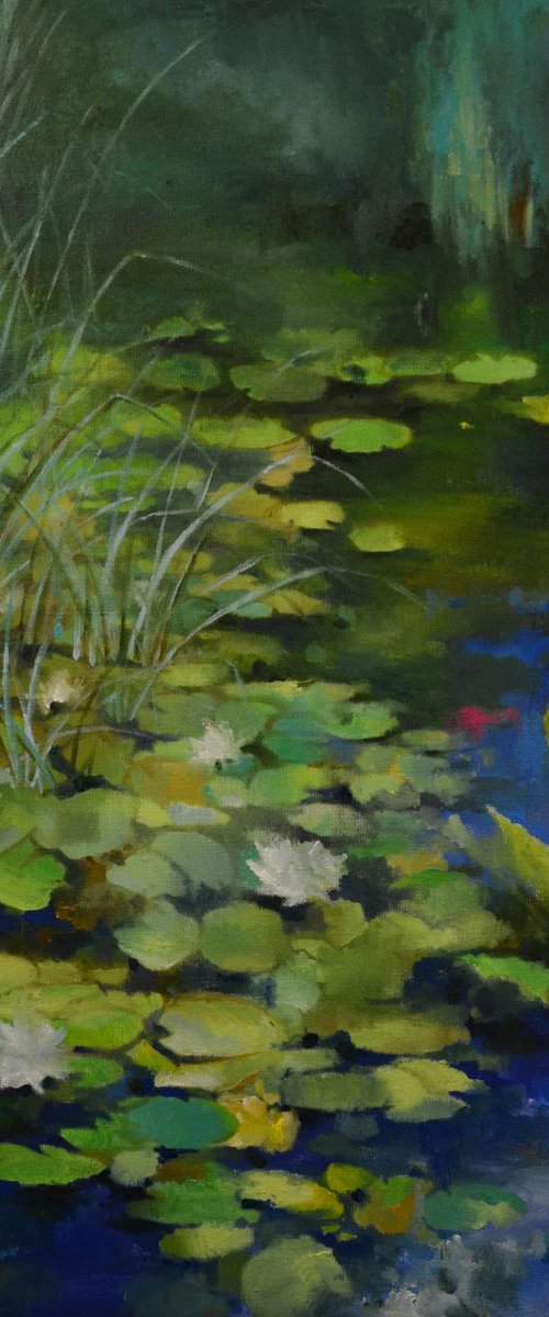Lily pond. Sunny day by Zhanna Kondratenko