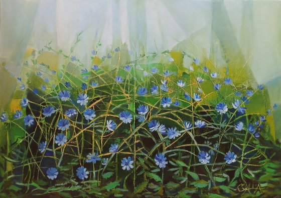 Wild chicory