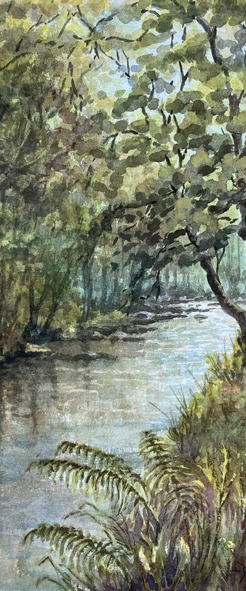 River Walkham at Grenofen by David Mather