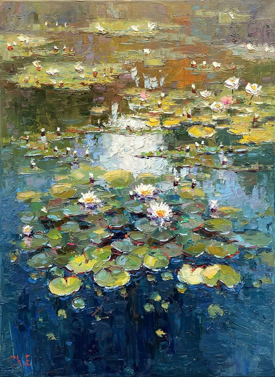 "Water lilies "