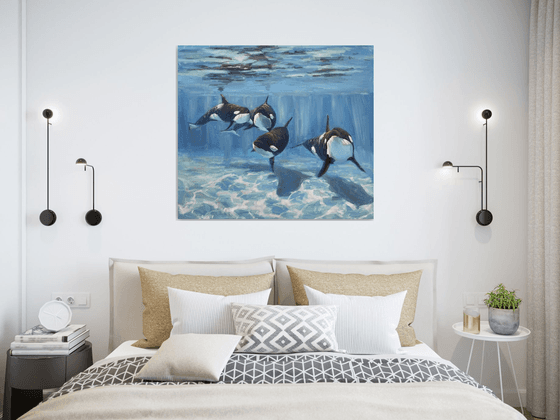 "A pod of Killer Whale"