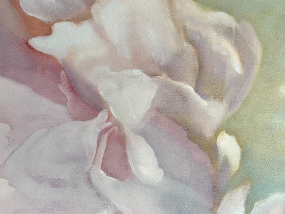 Pink peony 80x120