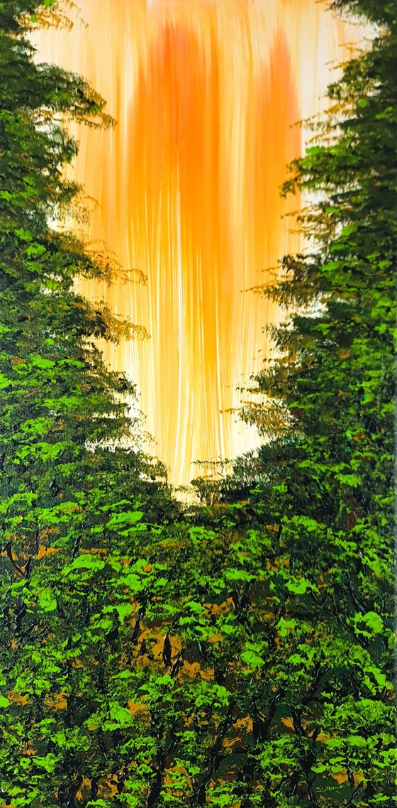 Nice Forest 2
