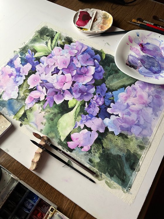 Violet hydrangea