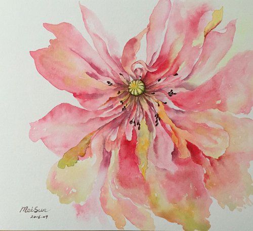 Poppies dream by Angelflower (Sun Mei)