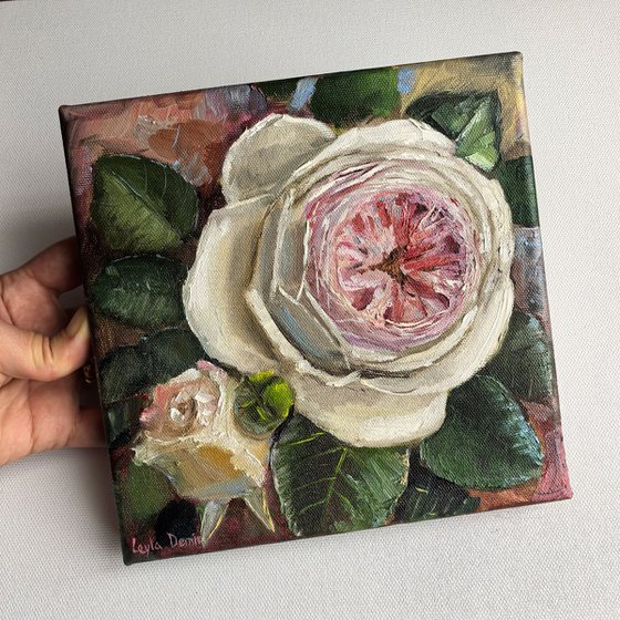 Pink roses still life