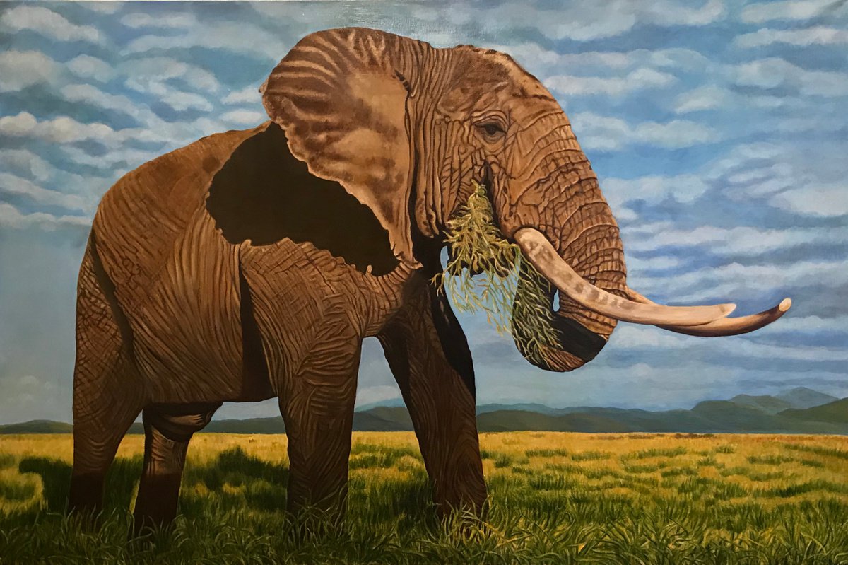 Original oil painting Elephant - 120x80 cm (2019) by Evgeniya Roslik