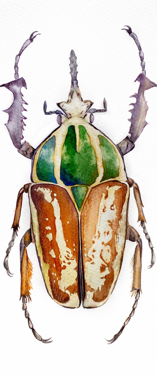 Mecynorhina ugandensis, beetle in the sun's rays in bright yellow, orange, green colour 3 by Tetiana Savchenko