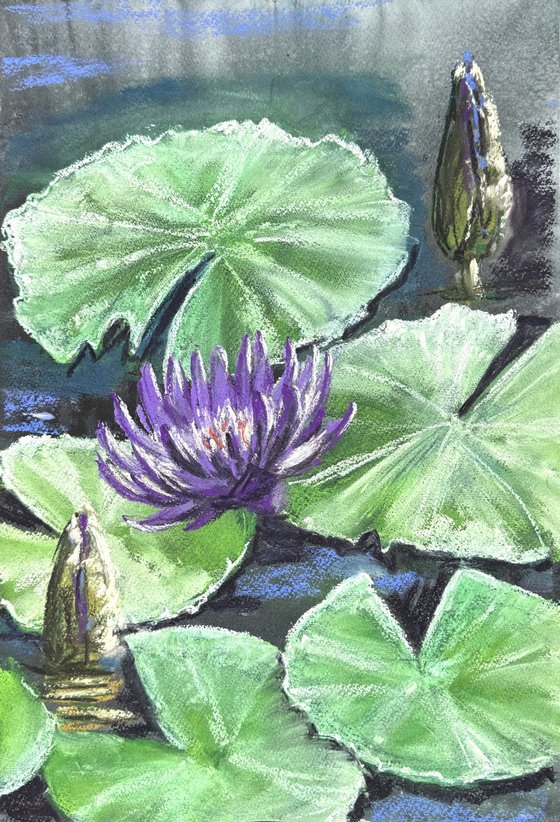 Waterlily Diptych Soft Pastel