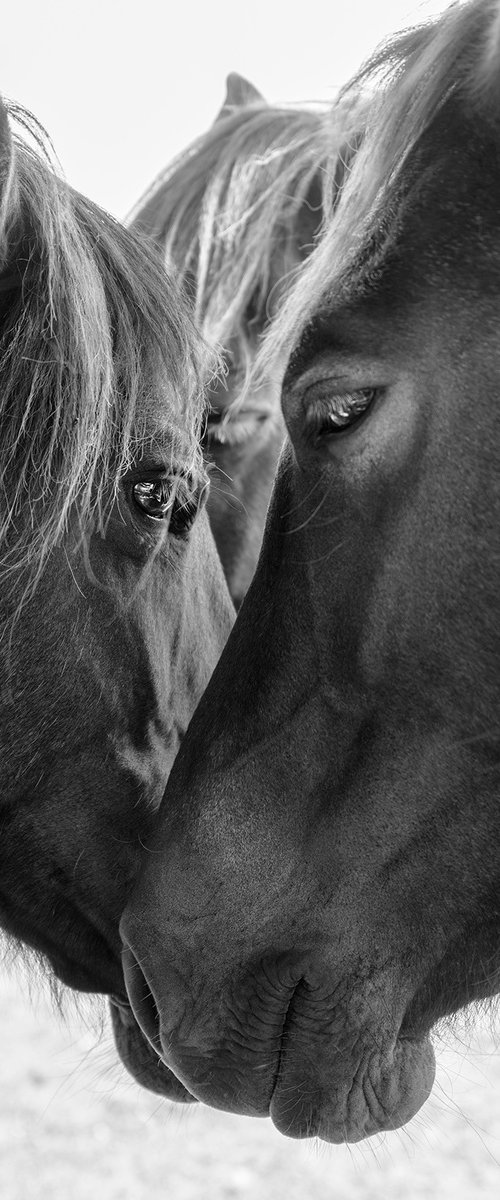 TOGETHER by Andrew Lever