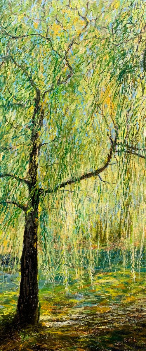 Weeping willow. October by Albert Safiullin