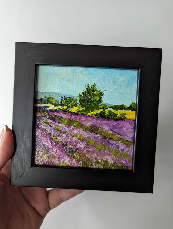 Lavender Fields Miniature Art