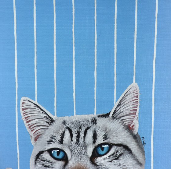 CAT SEE YOU 12