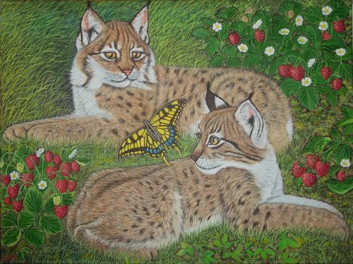 Bobcats, Lynx kittens and Butterfly by Sofya Mikeworth