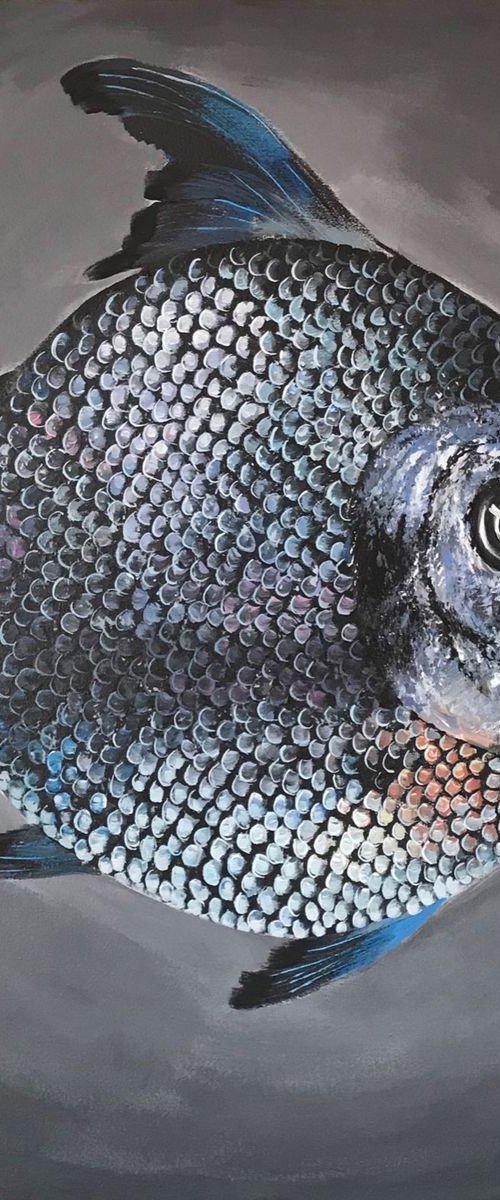 Fish Silver by Narek Hambardzumyan