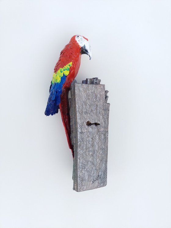 Scarlet Macaw Clay Lick