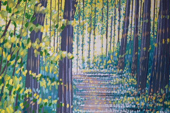 Sunlit Spring Forest Path