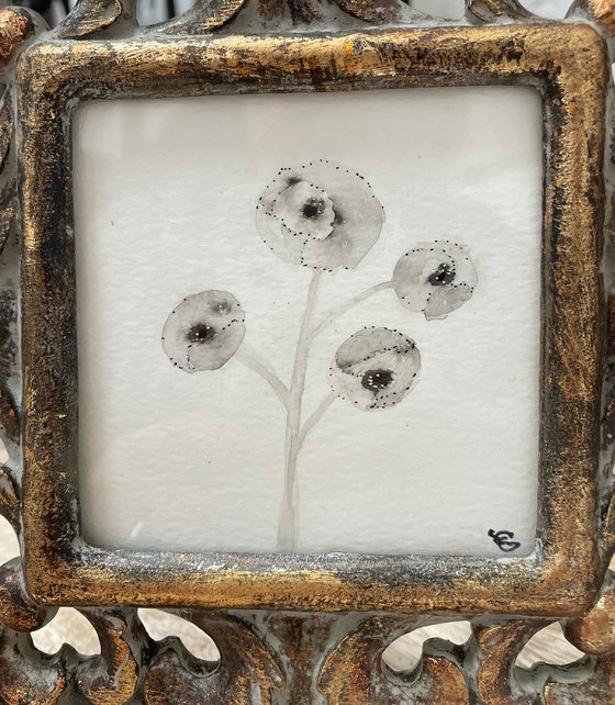 THE MOON’S POPPIES