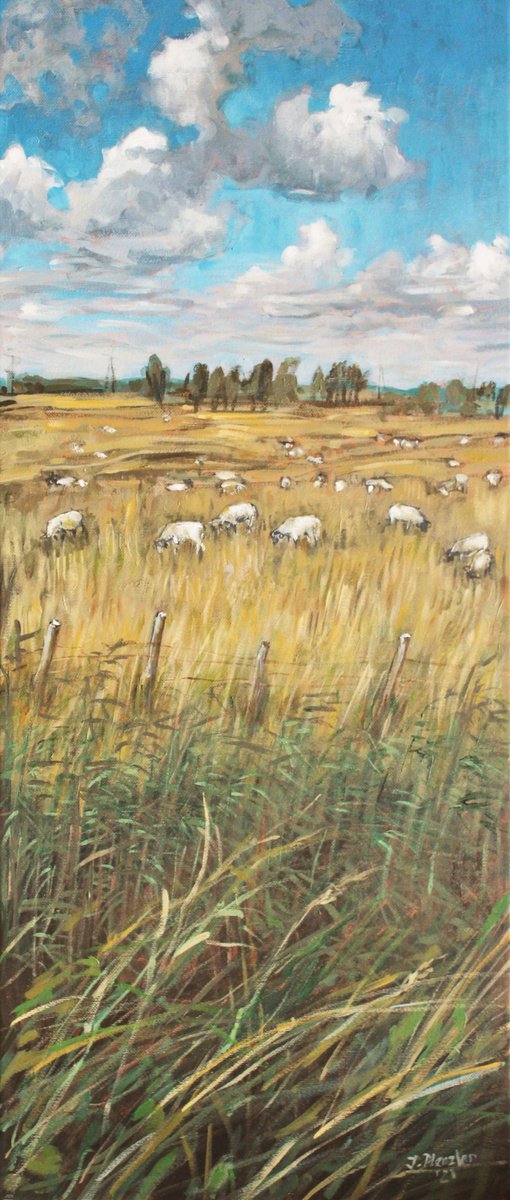 Pastureland with sheep by Joanna Plenzler